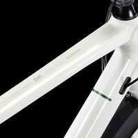 Cube Nuroad ONE FE desertstone´n´green (2025)