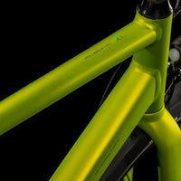 Cube Editor Race FE lizard´n´black (2025)