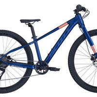 Scott Scale 600 clematis blue (2025)
