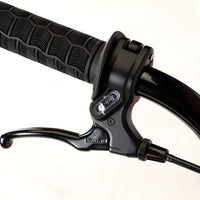 Haro Bikes Lineage Sport Bashguard 26"