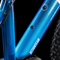 Cube Acid 240 Disc actionteam (2025)