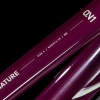 Cube Nature ONE Allroad Trapez amarone´n´lunar (2025)