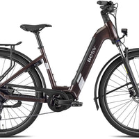 BESV E-Bike Trekking