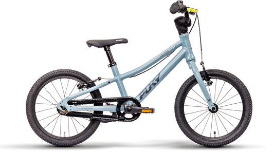 PUKY LS-PRO 16-1 ash blue (2025)